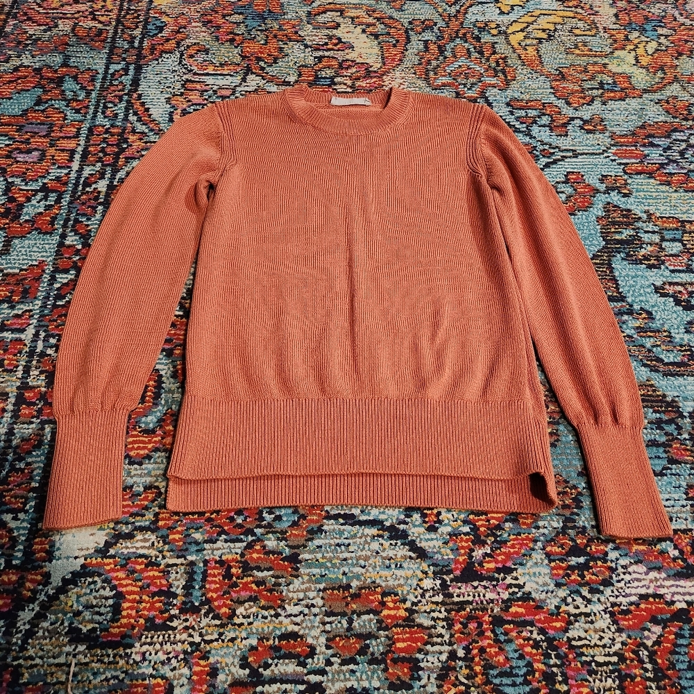 Everlane Cotton Sweater